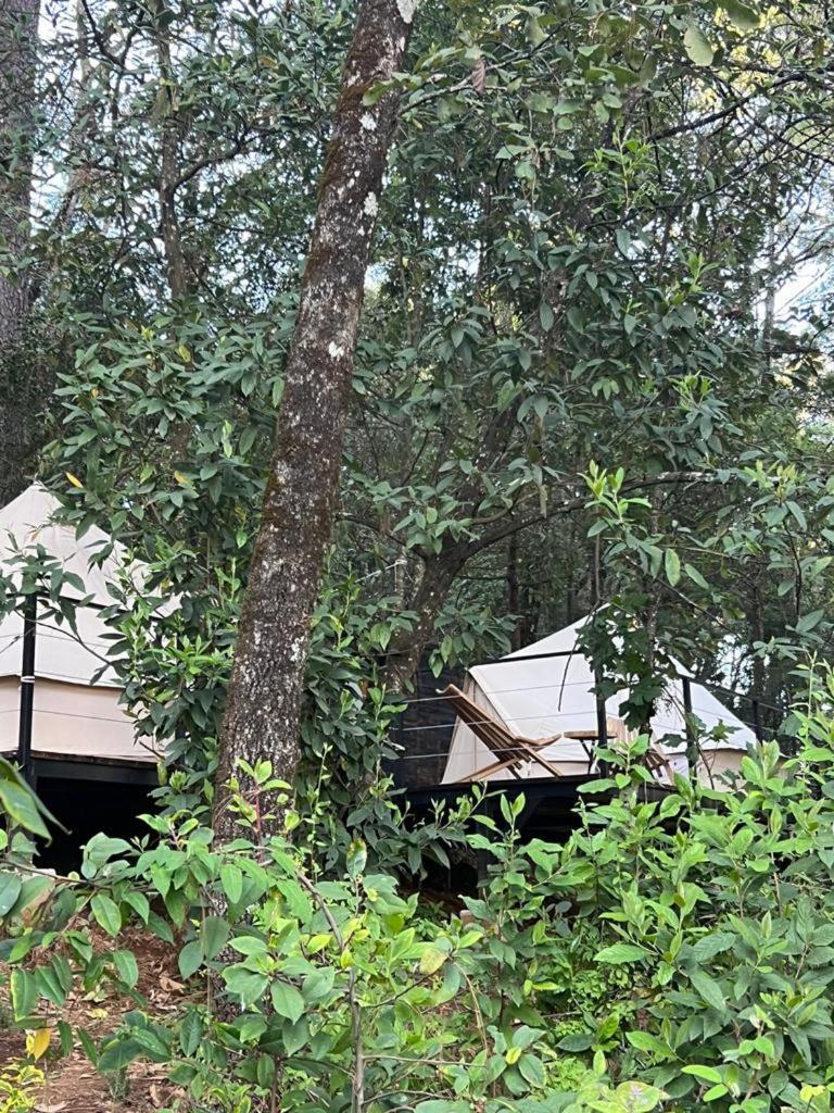 Hotel Oxu Solo Adultos Valle de Bravo Exterior photo